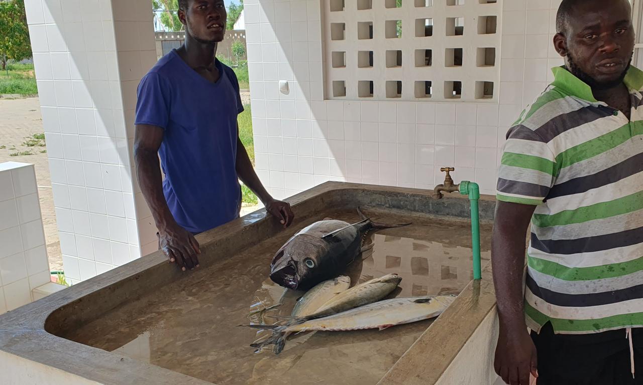 Designated sales area and sales tables at Chocas Mar